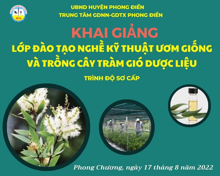 Một số chương trình đạo tạo được tổ chức tại trung tâm